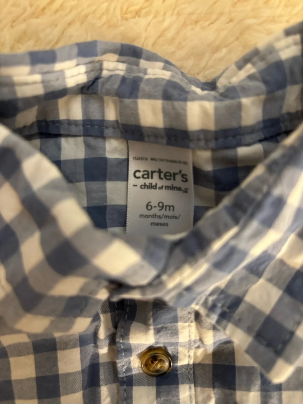 Carter's Blue and White Gingham Button-Up Shirt
